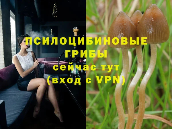 дживик Беломорск