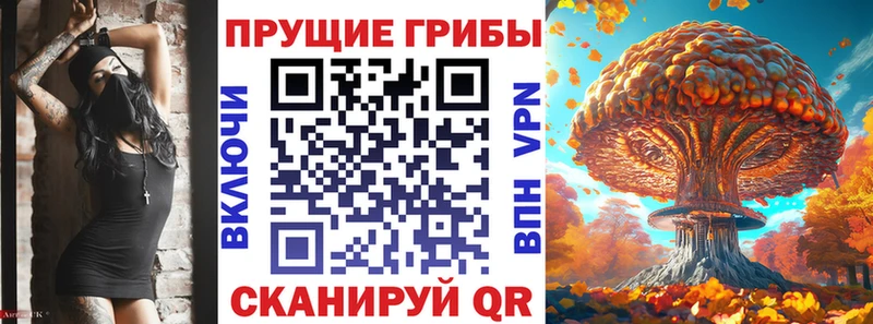 Галлюциногенные грибы MAGIC MUSHROOMS  Дигора 